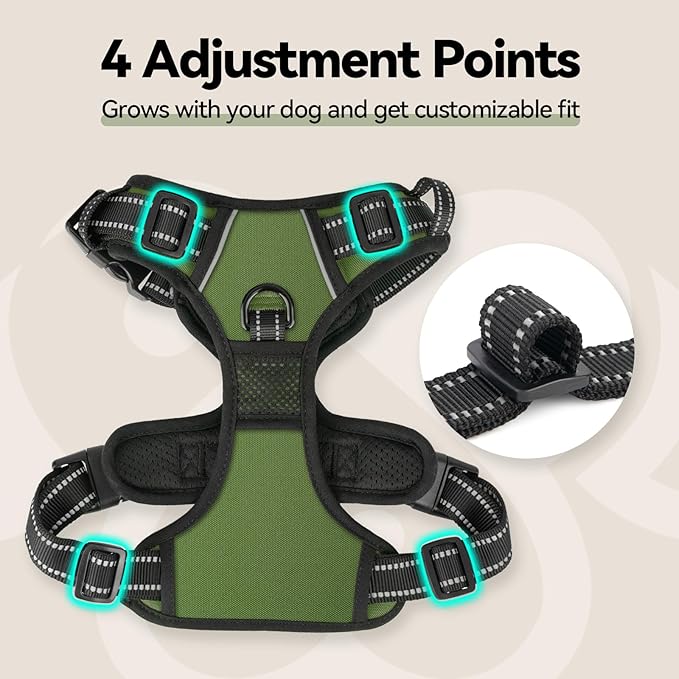 PHOEPET No Pull Dog Harness with Handle Front & Back Clip, Easy on Lockable Snap Buckle at Neck, Adjustable Reflective Vest with Handle for Small Medium Large Dogs (XS, Misty Green)