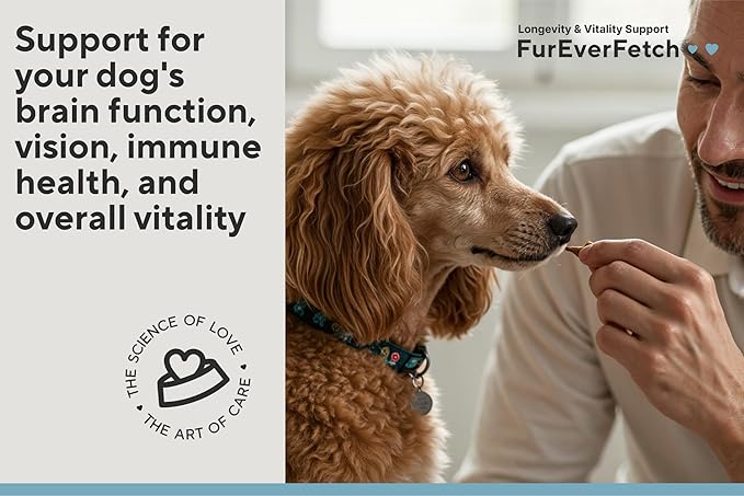 Senior Dogs Cognitive Support | Premium Canine Longevity Stack | Lion's Mane, Turkey Tail & Phosphatidylserine | Biohacking Brain Health Formula | Beef Flavor