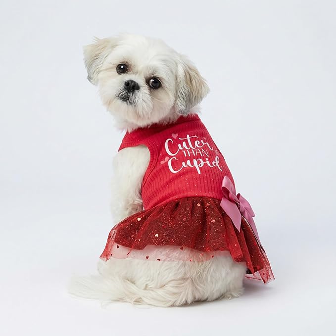 Fitwarm Cuter Than Cupid Dog Tulle Dress, Cute Girl Dog Clothes, Funny Pet Apparel, Burgundy Red, XXS