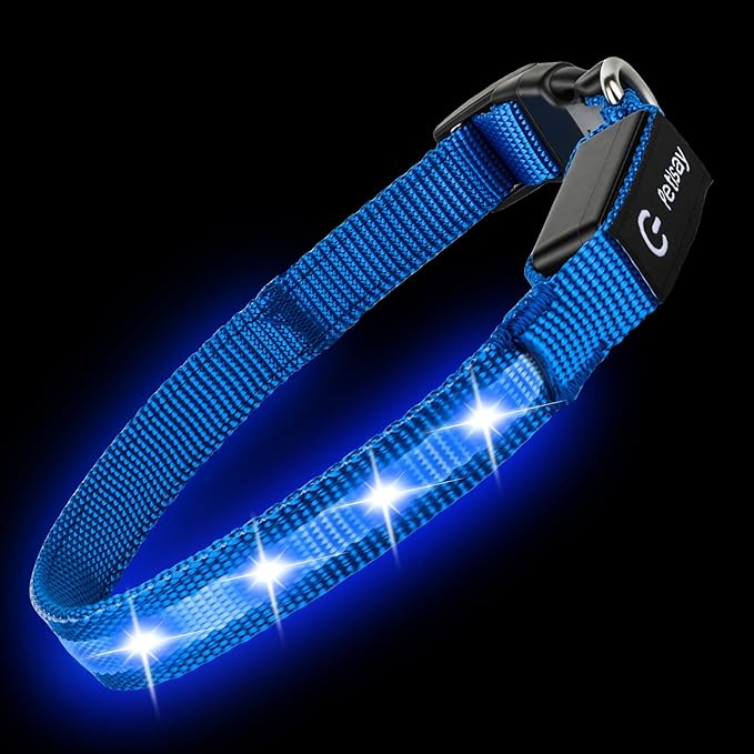 LED Dog Collar for Small Dogs & Toy Breeds – USB-C Rechargeable Light Up Dog Collar, Fully Waterproof Adjustable Glow Collar for Night Walking & Safety(Blue,S)