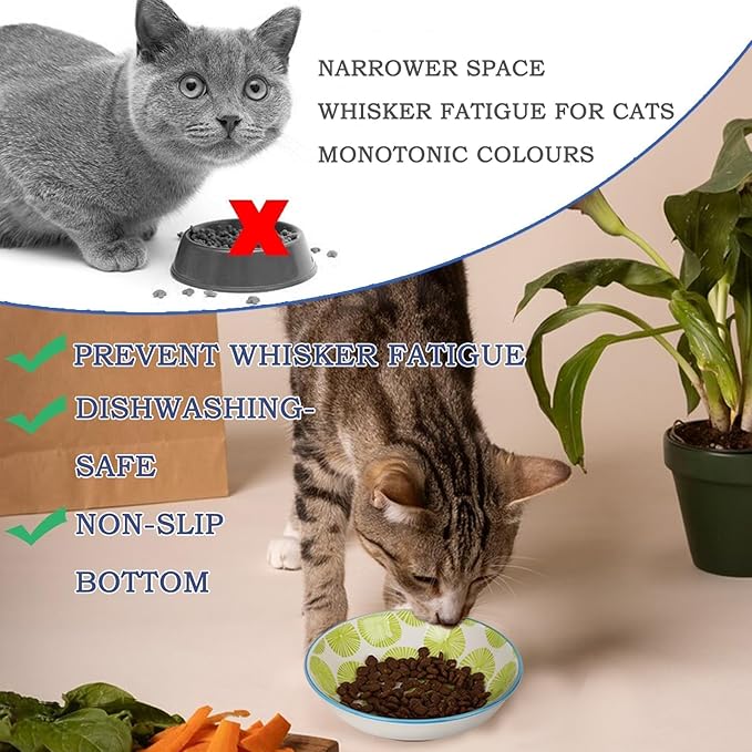 Ceramic Cat Bowls with Non-Slip Silicone Bottom,6 Pack Cat Food Bowl,Anti Whisker Fatigue Cats Dishes for Indoor Cats,Healthy Ceramic Kitten Plates for Daily Feeding Gift Choice (Classic)