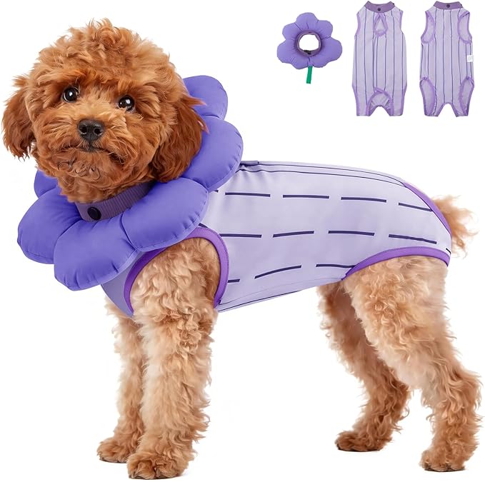 EMUST Recovery Suit for Small Dogs After Surgery, Soft E-Collar Alternative Surgical Wear, Breathable Anti-Licking Post-Op Clothes for Spay, Birth Control & Comfortable Recovery(Grapes,L)