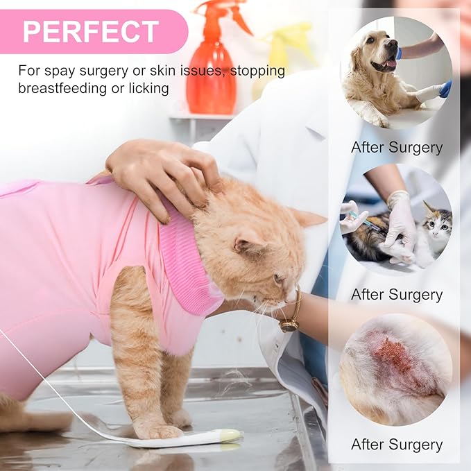 Cat Recovery Suit Spay Abdominal Wounds Skin Diseases Kitten Bodysuit Female Kitten Breathable Cone of Shame Alternative for Cats Anti Licking After Surgery Protection, Chest 13.4-15.7 in