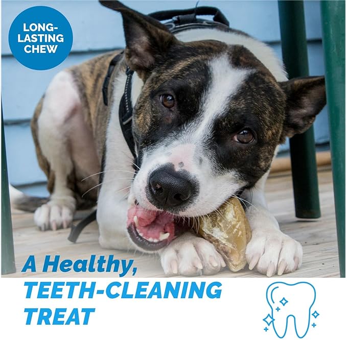 123 Treats | Cow Hooves for Dogs | 100% Natural Long Lasting Hoof Dental Dog Thick Chews, Perfect as Hooves for Dogs to chew. Made from Free Range, Grass Fed Cattle with NO Additives - (10 Count)