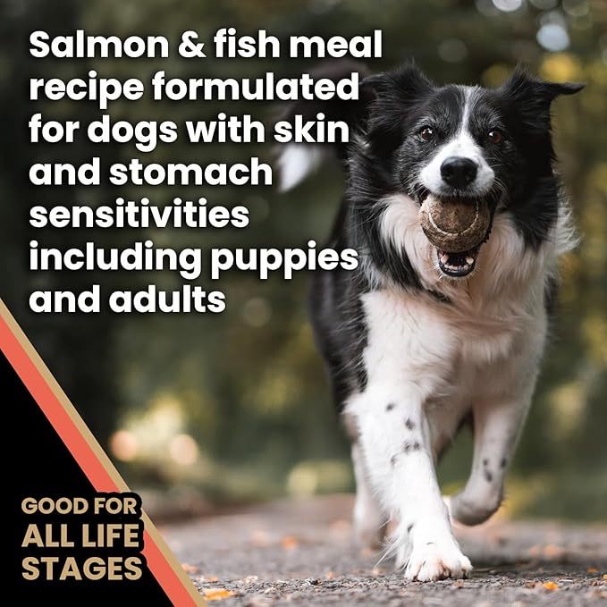 VICTOR Super Premium Dog Food — Sensitive Skin and Stomach — Salmon Meal & Brown Rice Recipe Dry Kibble — Gluten Free, No Chicken, Ideal for Dogs with Allergies — Adult and Puppy Food, 5 lb