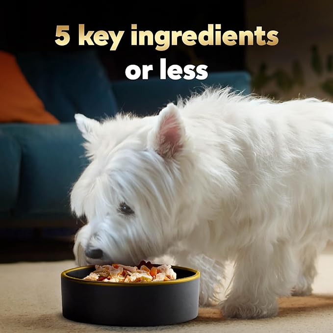 Cesar Simply Crafted Wet Dog Food Toppers for Dry Food, Chicken, Duck, Purple Potatoes, Pumpkin, Green Beans & Brown Rice, and Chicken, Carrots, Barley & Spinach Variety Pack, 1.3 oz Tubs, 8 Count