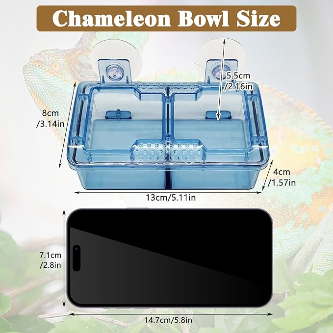 Hamiledyi Transparent Reptile Feeder with Suction Cup Separated Double Compartments Chameleon Bowl Gecko Live Worm Feeder Anti-Escape Reptile Supplies for Lizard Bearded Dragon (Blue, 2 Pcs)