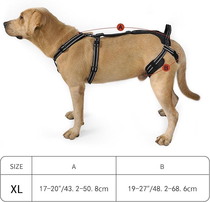 COODEO Professional Dog Sling for Hind Leg Support - Aid for Post-ACL/TPLO Surgery & Senior Dogs, Secure,Breathable & Machine-Washable with Reflective Edging for Safe Walks (Black, XL)