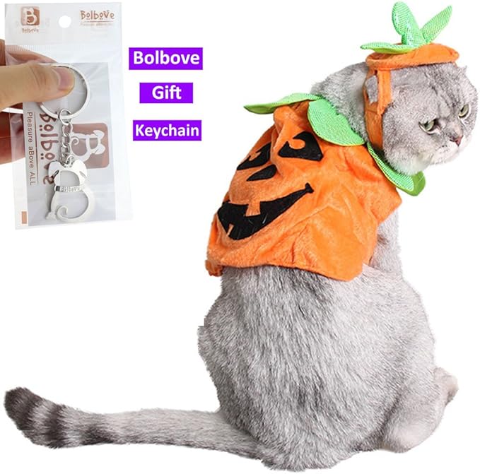Bolbove Pet Pumpkin Costume for Cats & Small Dogs Party Halloween Cosplay Free Size Orange