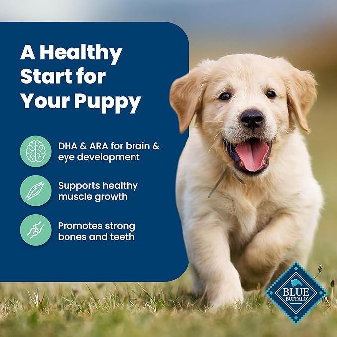 Blue Buffalo Life Protection Formula Puppy Dry Dog Food with DHA and ARA, Made with Natural Ingredients, Lamb & Oatmeal Recipe, 34-lb Bag