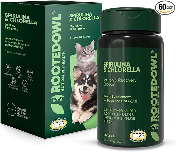 Rooted Owl Blood Support - Immunity, Recovery and Iron Supplement for Dogs & Cats - Anemia Support with Spirulina and Chlorella - 60/ct Vegan Capsules
