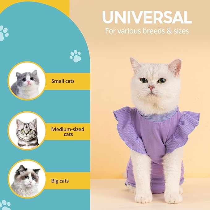 Avont Cat Recovery Suit - Post-Surgery Onesie for Cats, Alternative to Cone of Shame, Protective Spay Suit for Female Kitten, Ideal for Healing and Skin Conditions -Purple(L)