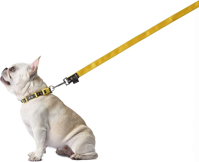 Star Wars Darth Vader Dog Leash - Cute Dog Lead Easily Attaches to Any Collar or Harness - Officially Licensed Pet Walking Leash, 6 Foot (72 Inch)