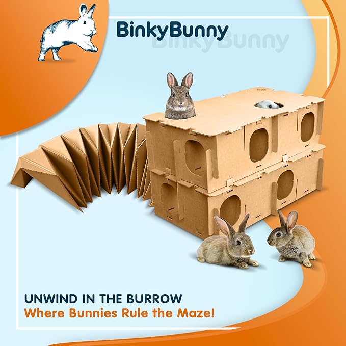 BinkyBunny Tunnel Haven
