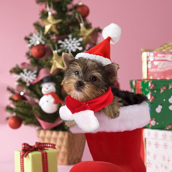 NAMSAN Christmas Cat Hats Costume, Santa Hat with Red Scarf for Cats Small Dogs, Rabbit Christmas Hat Outfit, Small Xmas Apparel for Statue Decoration