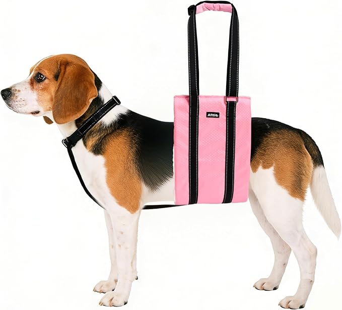AIITLE Dog Sling Carrier with Detachable Collar - Adjustable Anti-Slip Reflective Dog Lift Harness with Comfort Handle for Senior Dogs, Hind Leg Weakness, Hip Dysplasia, ACL Surgery (Pink, M)
