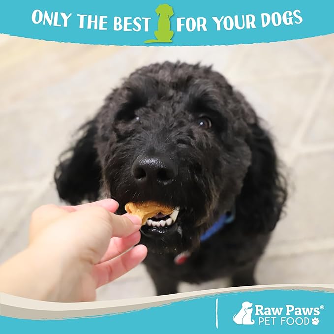 Raw Paws Soft Bone Shaped Dog Jerky Treats for Dogs - Peanut Butter & Chicken Recipe (16-Ounce) - Made in USA - Chicken Jerky Dog Treats - Soft Puppy Training Treats