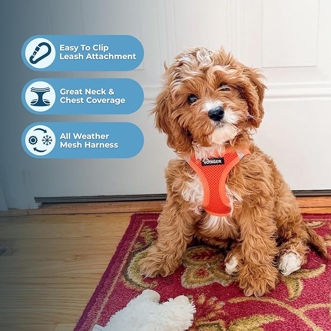 Best Pet Supplies Voyager Step-in Air All Weather Mesh Harness and Reflective Dog 5ft Leash Combo with Neoprene Handle, for Small, Medium and Large Breed Puppies - Set (Orange), Large