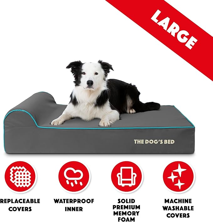 The Dog’s Bed Orthopedic Memory Foam Dog Bed with Headrest, Calming Surface – CertiPUR-Certified Foam, Oxford Fabric, Grey with Blue Trim, Large, 6-Inch