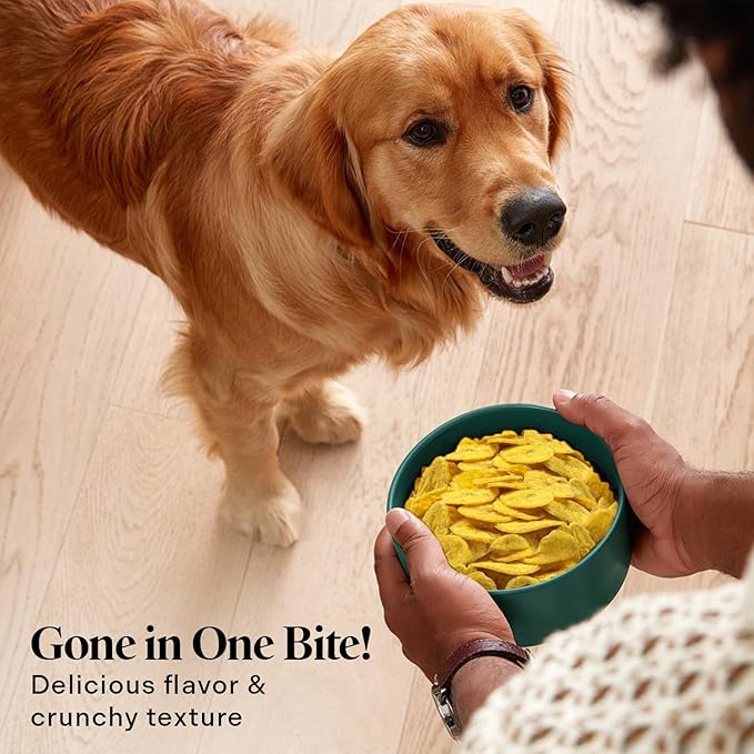 Healthy Dogma Banana Chips Treat for Dogs - All-Natural, & Clean Ingrediant Snacks - Supports Digestion, Energy & Immune Health - Perfect for Training & Sensitive Stomachs,(8 oz)