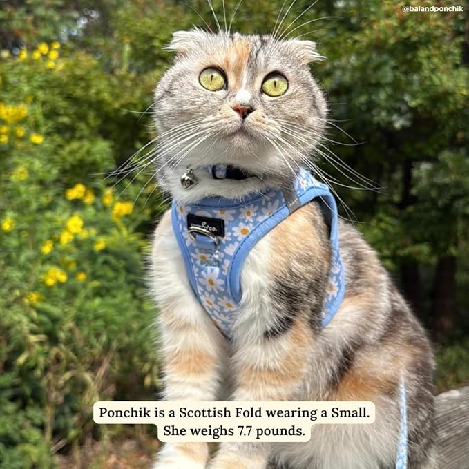 Lucy & Co. Simply Splendid Step-in Cat Harness & Leash Bundle – Reflective, Breathable & Adjustable Harness for Cats, Kittens & Small Dogs, Lightweight & Secure and Dual Leash Clips – Medium