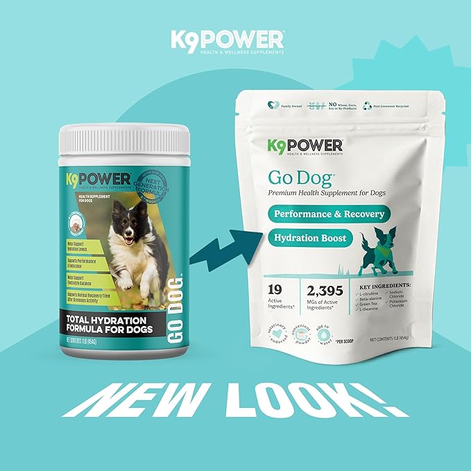 K9Power Go Dog – Hydration & Electrolyte Supplement for Dogs – Boost Stamina, Recovery, Muscle Function & Energy – Beta-Alanine, Creatine, BCAAs, Agave, Green Tea Extract, Electrolytes