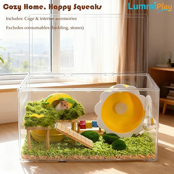Large Clear Hamster Cage, 23.6 x 13.8 x 12.2 Inches, Transparent Pet Habitat with Ventilation and openable Top Cover, All-in-1