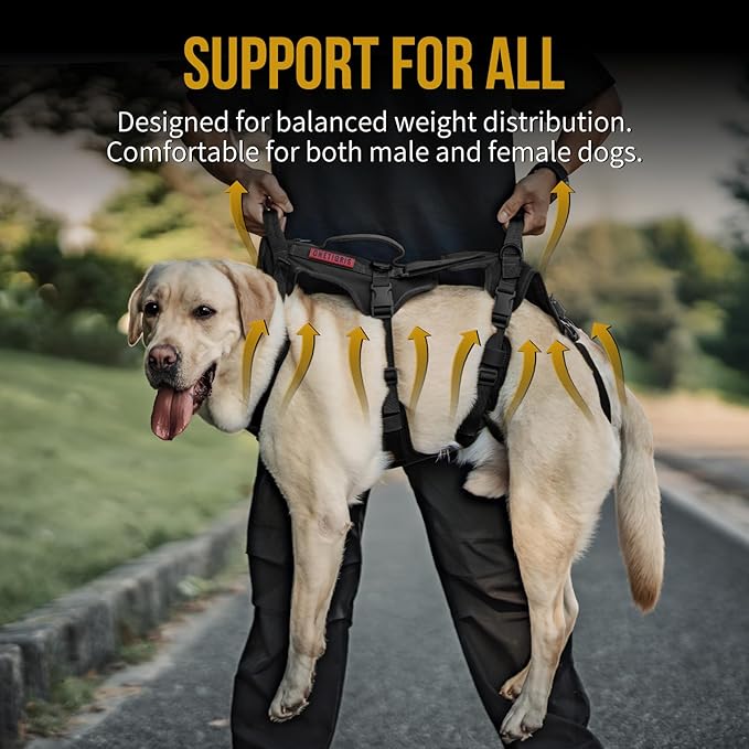 OneTigris Dog Full Body Lift Harness, All-Gender Dogs Friendly Design, Dog Sling Carrier with Three Handles Front/Rear Leg Assist for Arthritis(Black, X- Large)