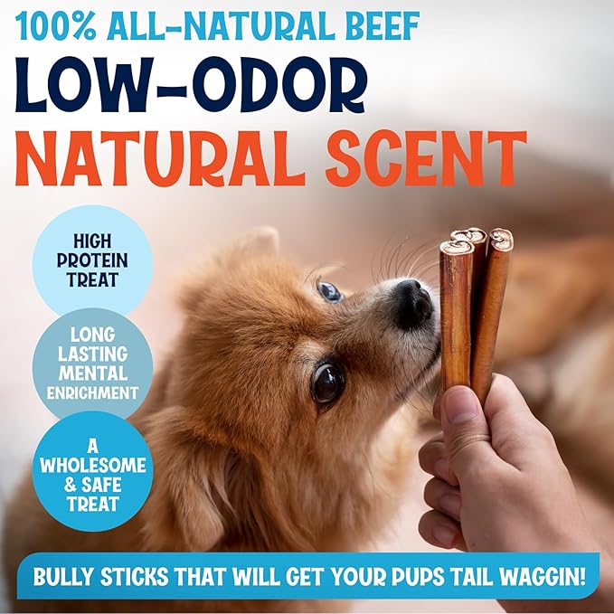 Jumbo Bully Sticks for Dogs - 100% Beef Premium Flavor - A Thick, Challenging Bully Stick for Your Large Dog and Aggressive Chewer- Long Lasting Dog Chews for Large Dogs (12 Inch, 10 Pack)