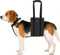 AIITLE Dog Sling Carrier with Detachable Collar - Adjustable Anti-Slip Reflective Dog Lift Harness with Comfort Handle for Senior Dogs, Hind Leg Weakness, Hip Dysplasia, ACL Surgery (Black, M)