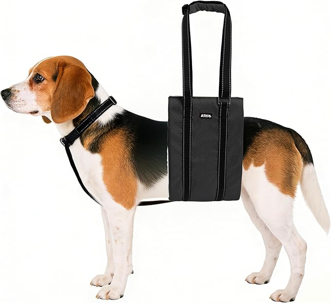 AIITLE Dog Sling Carrier with Detachable Collar - Adjustable Anti-Slip Reflective Dog Lift Harness with Comfort Handle for Senior Dogs, Hind Leg Weakness, Hip Dysplasia, ACL Surgery (Black, M)