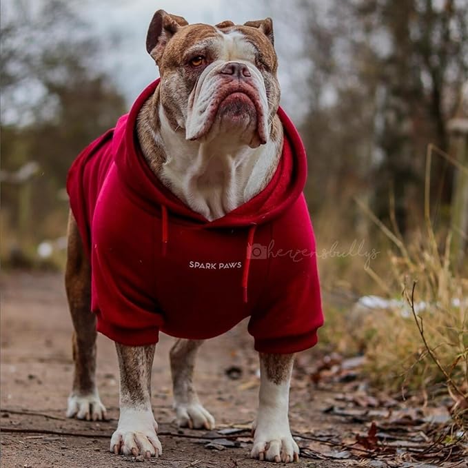 Spark Paws Dog Hoodie – Premium Dog Sweater for Small, Medium, and Large Dogs | Warm Outfits for French Bulldogs, Pitbull, Puppy, Winter Jacket Alternative - Burgundy - 5XL