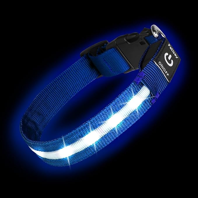 Super Bright LED Dog Collar - Fully Waterproof & Adjustable Glow Collar - USB-C Rechargeable for Night Walking, Safety - Flashing Lighted Collar for Dogs(Blue,L/XL)