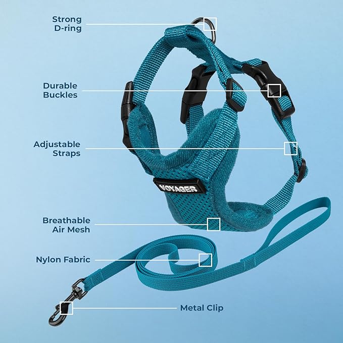 Voyager Escape-Proof Step-in Lock Cat Harness & 5ft Neoprene-Handle Leash Set All-Weather Mesh with Reflective Stitching for Small to Large Cats by Best Pet Supplies, Turquoise, XS