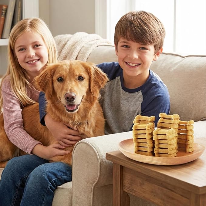Jungle Calling 48 Ct. Senior Dog Soft Treats, Easy to Chew Chicken-Flavored Biscuits for Training, Natural Digestive Support & Plant-Based Protein, Grain Free Meaty Rewards