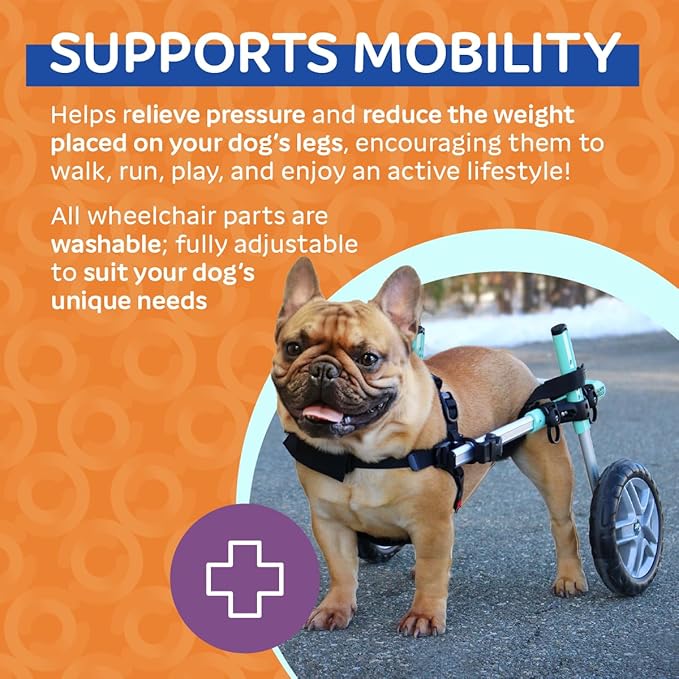 Walkin' Wheels Small Dog Wheelchair, Lightweight Dog Wheelchair for Back Legs, 15-25 lbs, for 6-8 inches Leg Height - Seafoam