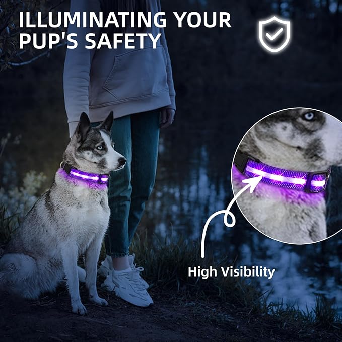 Super Bright LED Dog Collar - Fully Waterproof & Adjustable Glow Collar - USB-C Rechargeable for Night Walking, Safety - Flashing Lighted Collar for Dogs(Purple,Small)