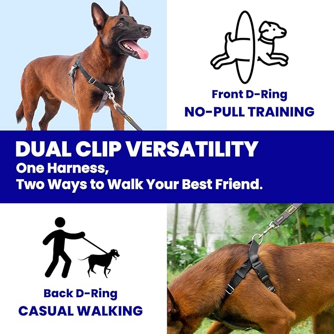 Freedom No Pull Dog Harness, Easy Walker, Stop Pulling with Two Stainless D-Rings, Comfortable, Sewn-in Instructions Tags for Easy Use, for Small Dogs Weight 20-30 lbs (Black, Small)