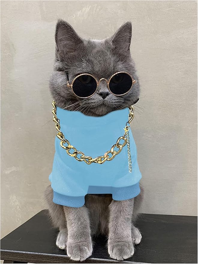 QWINEE 3Pcs Dog Hoodie Cat Apparel Dog Custume Set with Necklace and Sunglasses Pet Clothes for Puppy Small Medium Dogs Cats Light Blue X-Large