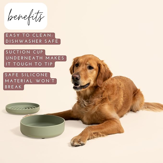 Should We Go? Dog Water Bowl - The Perfect Dish No-Spill, Less Mess Non-Tippable Water & Food Bowl, Silicone with Suction Cup, Fits 5 Cups 7.5" Across x 2.25" Tall, Ideal for All Pets, Medium-Charcoal