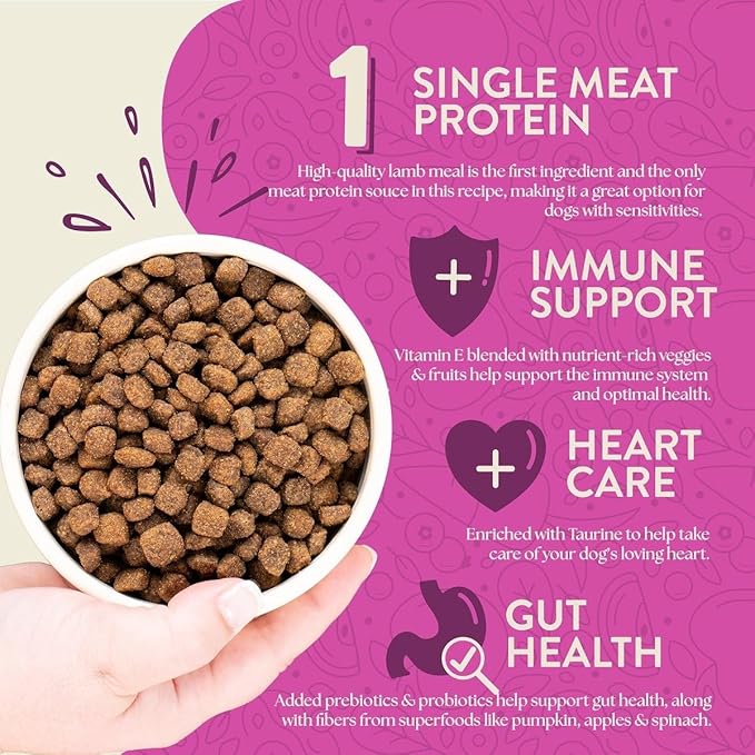 Earthborn Holistic Meadow Feast with Lamb Grain-Free Natural Dry Dog Food, 25 lb
