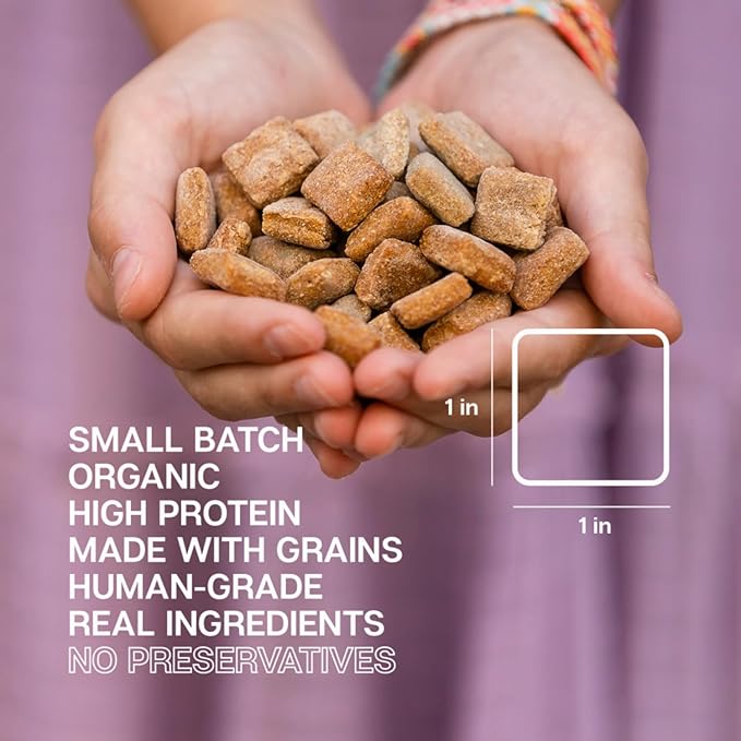 Crunchy Beef Organic Dog Treats - High Protein, Grain-Inclusive, USDA Certified Organic, Human-Grade, No Preservatives - Small Batch, Delicious & Healthy Snack for Dogs