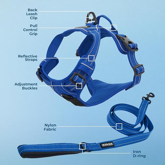 Voyager Dog Harness Dual Leash Attachment No-Pull Control Adjustable Soft but Strong Pet Harness for Medium and Large Dogs with 3M Reflective Technology, Leash Set Royal Nylon, XL (Chest: 28-37")