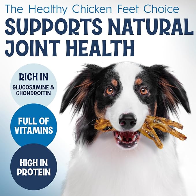 Premium Chicken Feet Dog Treats - Dehydrated Poultry Foot - No Additives - Digestible Chew - Joint Health Support - All Natural (50-Pack)