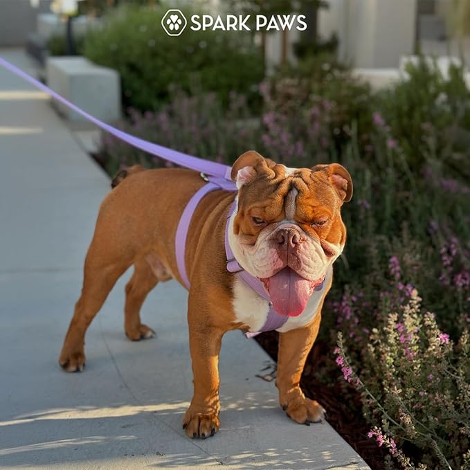 Spark Paws No Pull Dog Harness with Handle for Large Dogs, Heavy Duty Dog Harness for Big Strong Breeds, Adjustable, Y Shaped Padded Halter Design with Front Clip - Lilac - L