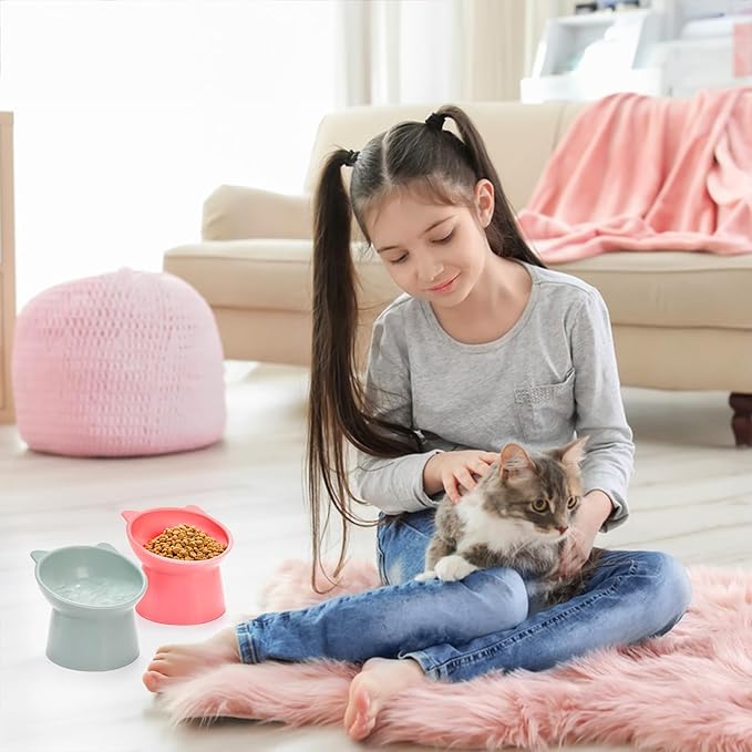 6 Pack Raised Cat Bowls for Indoor Cats, Plastic Elevated Cat Bowls Dishes, 15 Degrees Tilted Cat Food Bowls, Anti-Vomiting and Whisker Friendly, 3 Colors