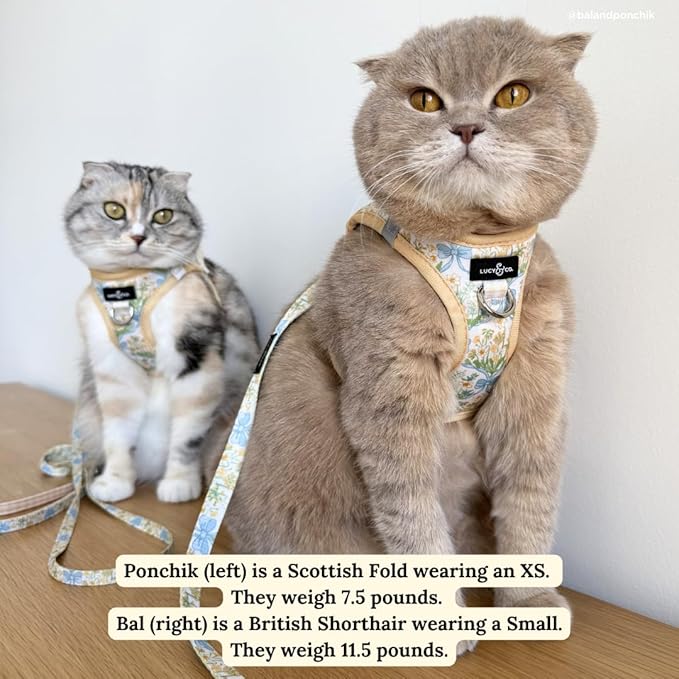 Lucy & Co. Sunshine and Daffodils Step-in Cat Harness and Leash Set Bundle, Breathable & Adjustable Harness for Cats, Kittens & Small Dogs, Lightweight & Secure and Dual Leash Clips – Large