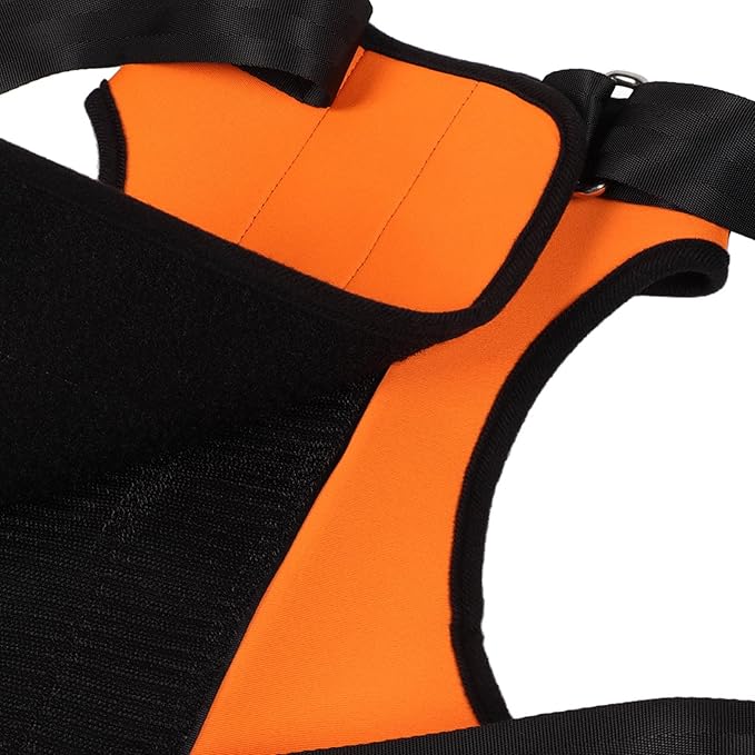 Dog Lift Harness, Dog Sling, Adjustable Pet Support Harness for Back Legs, Dog Harness Help with Poor Stability, Reduced Mobility Dog for Elderly, Senior, Disabled Dogs (Back Leg Size M)