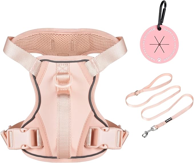 Petmolico Dog Harness for Small Dogs, Cute Harness Vest with Two Leash Clips and Soft Handle, Reflective Easy Walk Puppy Vest - Pink, Medium