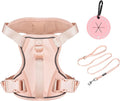 Petmolico Dog Harness for Small Dogs, Cute Harness Vest with Two Leash Clips and Soft Handle, Reflective Easy Walk Puppy Vest - Pink, Small